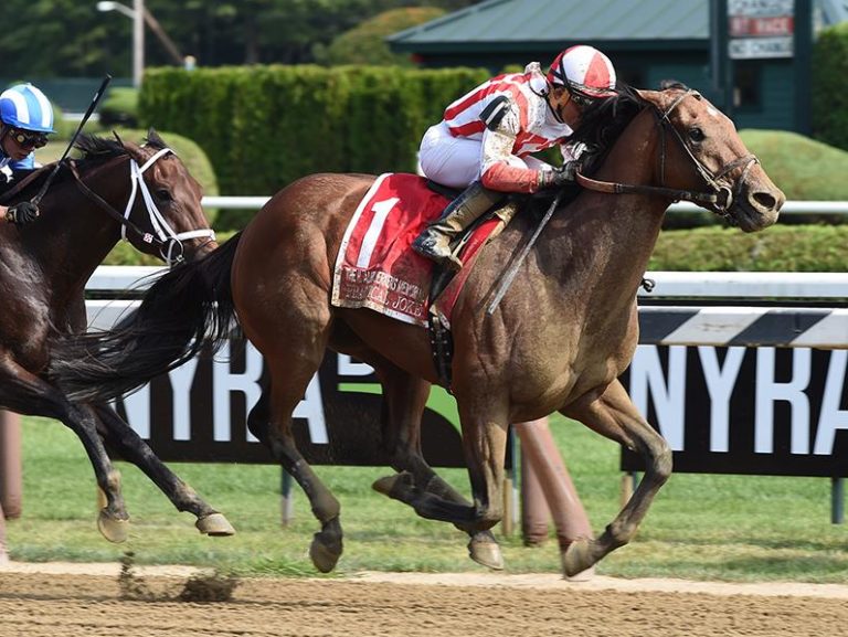 Practical Joke | 2017 H. Allen Jerkens-G1 | Coglianese photo