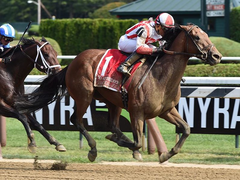 Practical Joke 2017 H. Allen Jerkens G1 | Coglianese photo