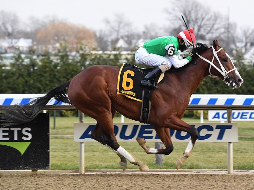 Maximus Mischief | 2018 Remsen-G2 | NYRA photo