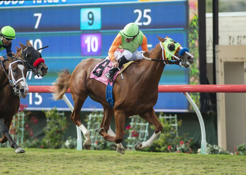 King of Speed 2018 Del Mar Juvenile Turf