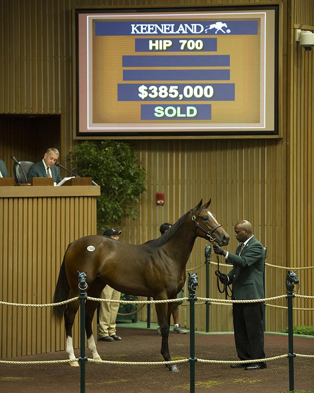 Hip 700 $385,000 filly | Keeneland September Yearling Sale