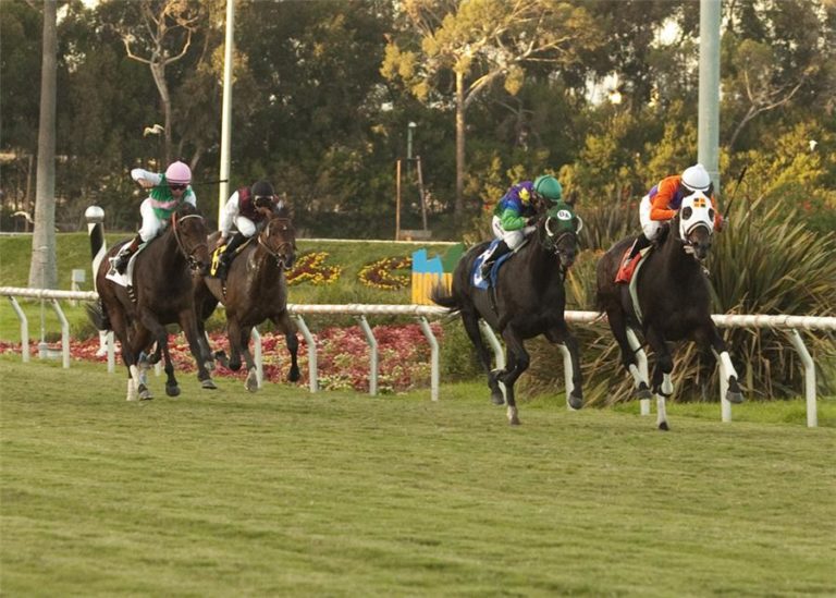 Temple City | 2010 Hollywood Turf Cup-G1