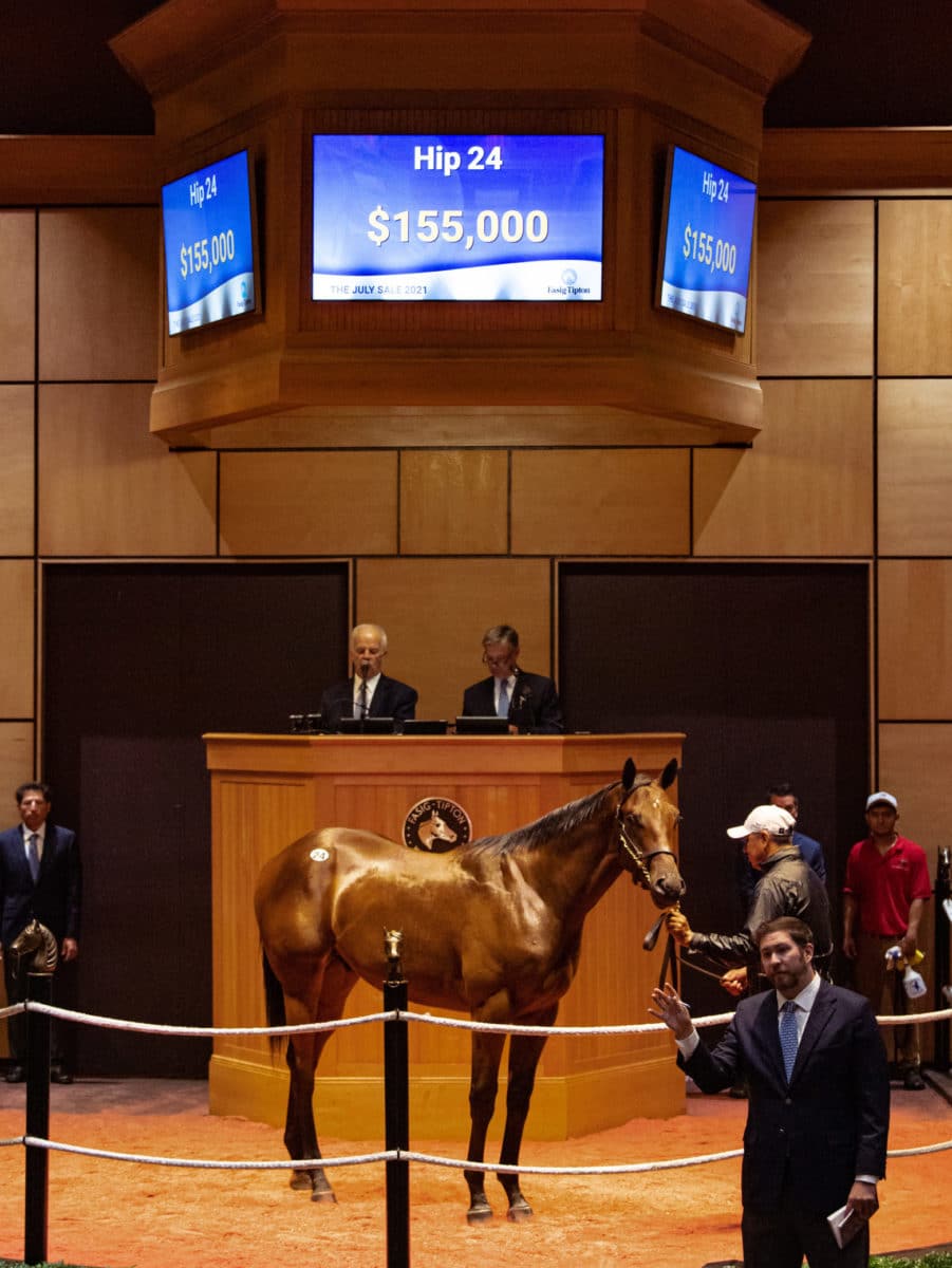 $155,000 colt o/o Franderella | 2021 Fasig-Tipton July Sale | Purchased by Eisaman Equine | Spendthrift Farm / Autry Graham Photo