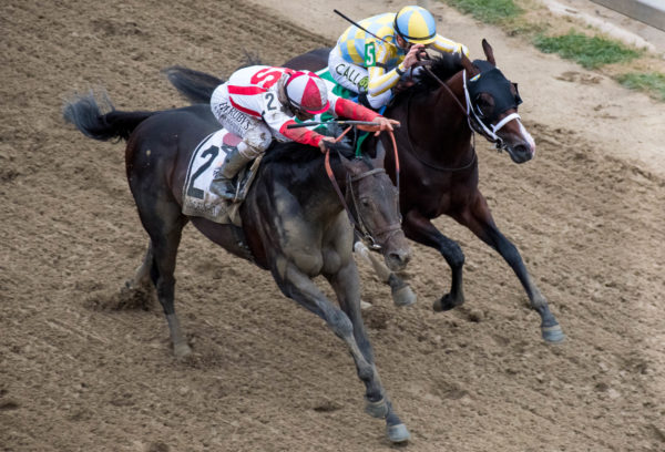 Cloud Computing shown defeating champion Classic Empire in the Preakness-G1