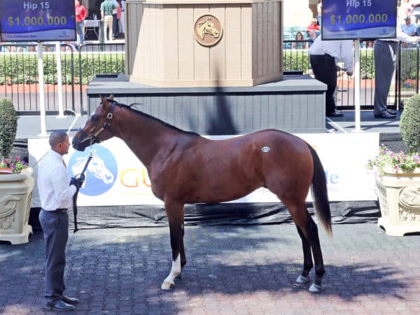 Hip 15 was the first horse to hit the million-dollar mark at F-T Gulfstream | Photo by Z