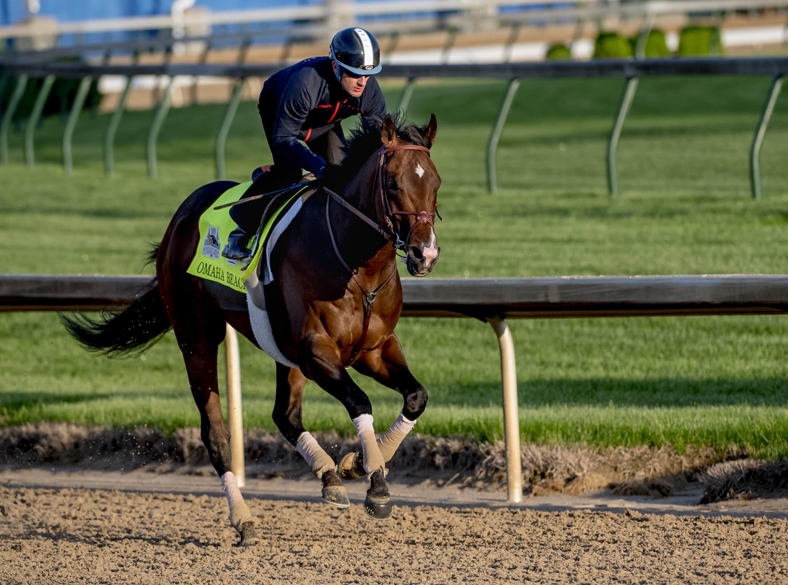Spendthrift reaches agreement to acquire breeding rights to Omaha Beach