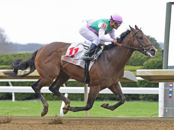 Honest Mischief earned a 2 1/4 Ragozin figure - tops by a 3-year-old in 2019