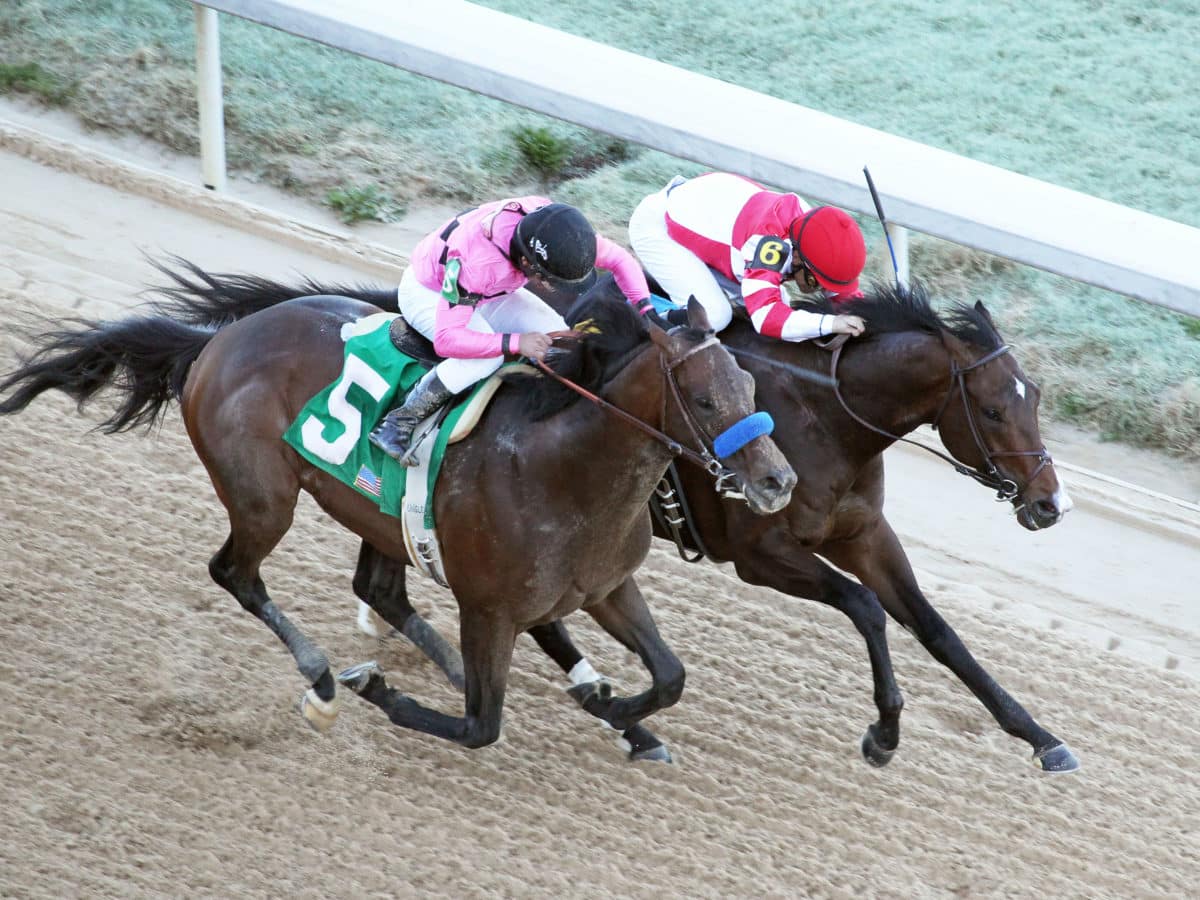 Omaha Beach takes the G2 Rebel S. finishing ahead of Game Winner | 2019 | Coady Photography