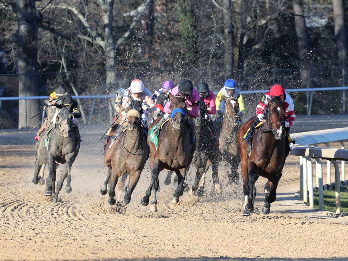 Omaha Beach takes the G2 Rebel S. finishing ahead of Game Winner | 2019 | Coady Photography