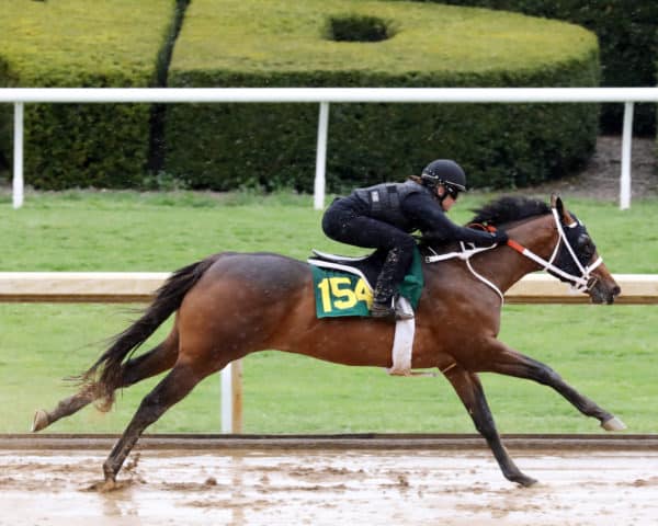 Wicked Strong's $110,000 colt, Hip 154, at the Keeneland April 2yo Sale breeze show | Photo by Z