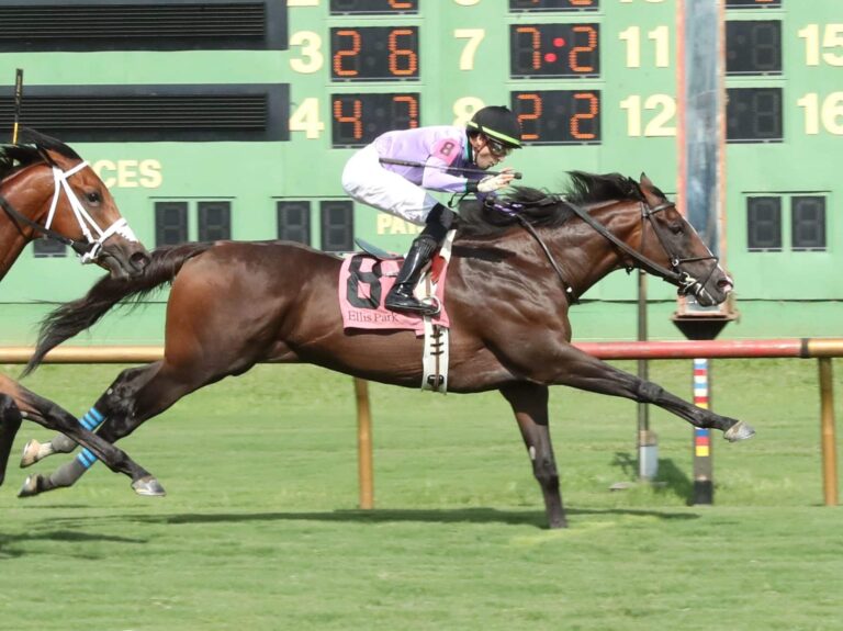 Beach Gold wins the 2025 KY Downs Preview Mint Millions Mile S. at Ellis Park in 1:31.76 - a new course record | Coady photo