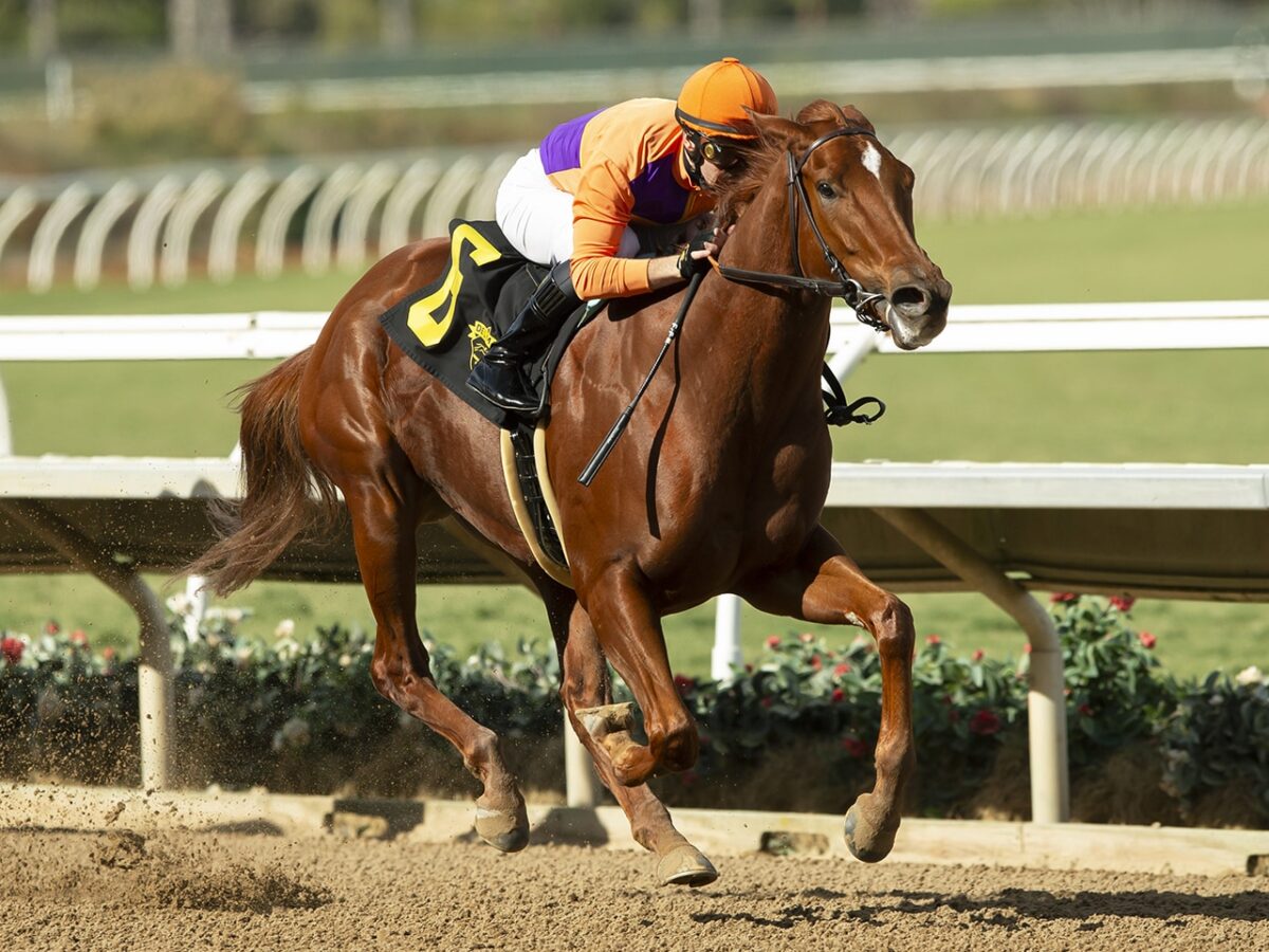 3yo filly Kopion wins the 2024 Santa Ynez S. (G3) at Santa Anita | Benoit photo