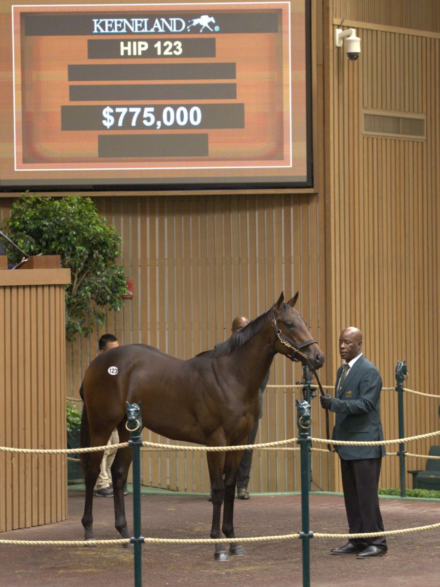 $775,000 | Colt o/o Achalaya | Purchased by White Birch Farm | '22 KEESEP | Nicole Finch photo