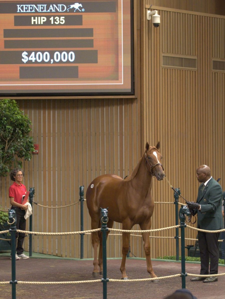 $400,000 | Filly o/o Anchorage | Purchased by Kerri Radcliffe, for AMO Racing/Omni Horse | '22 KEESEP | Nicole Finch photo