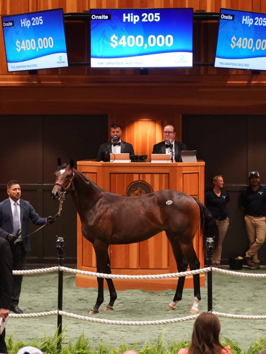 $400,000 | Hip 205, filly o/o Hot Water | Purchased by Taylor Creek | '22 F-T Saratoga | Z photo