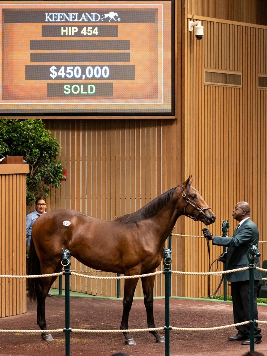 $450,000 | Colt o/o Spring Ring | Purchased by Cheyenne Stables | '22 KEESEP | Nicole Finch photo