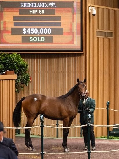 $450,000 | Filly o/o Sweet Awakening | Purchased by Fairview | '22 KEESEP | Nicole Finch photo