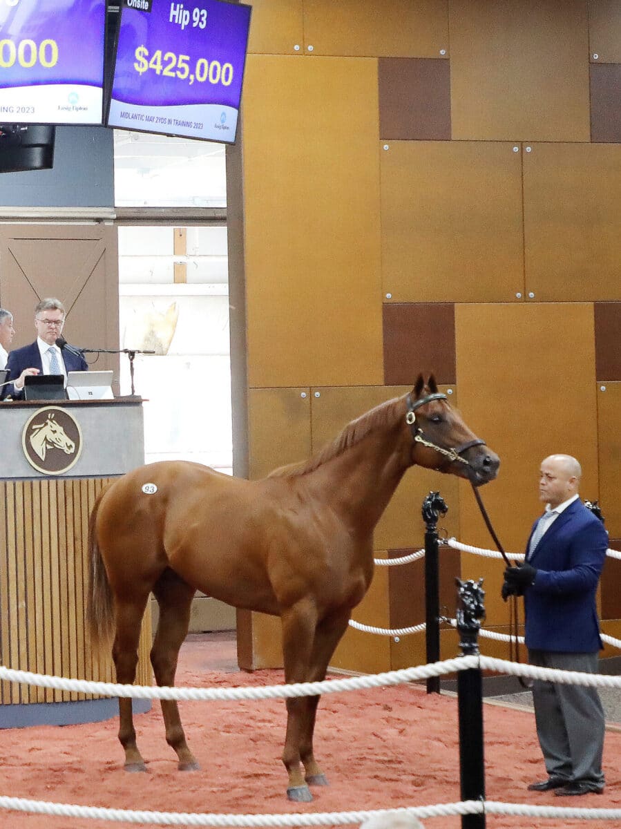 $425,000 | Colt o/o Catch My Fancy | Purchased by Mark Glatt, Agent | '23 F-T Midlantic | Z photo