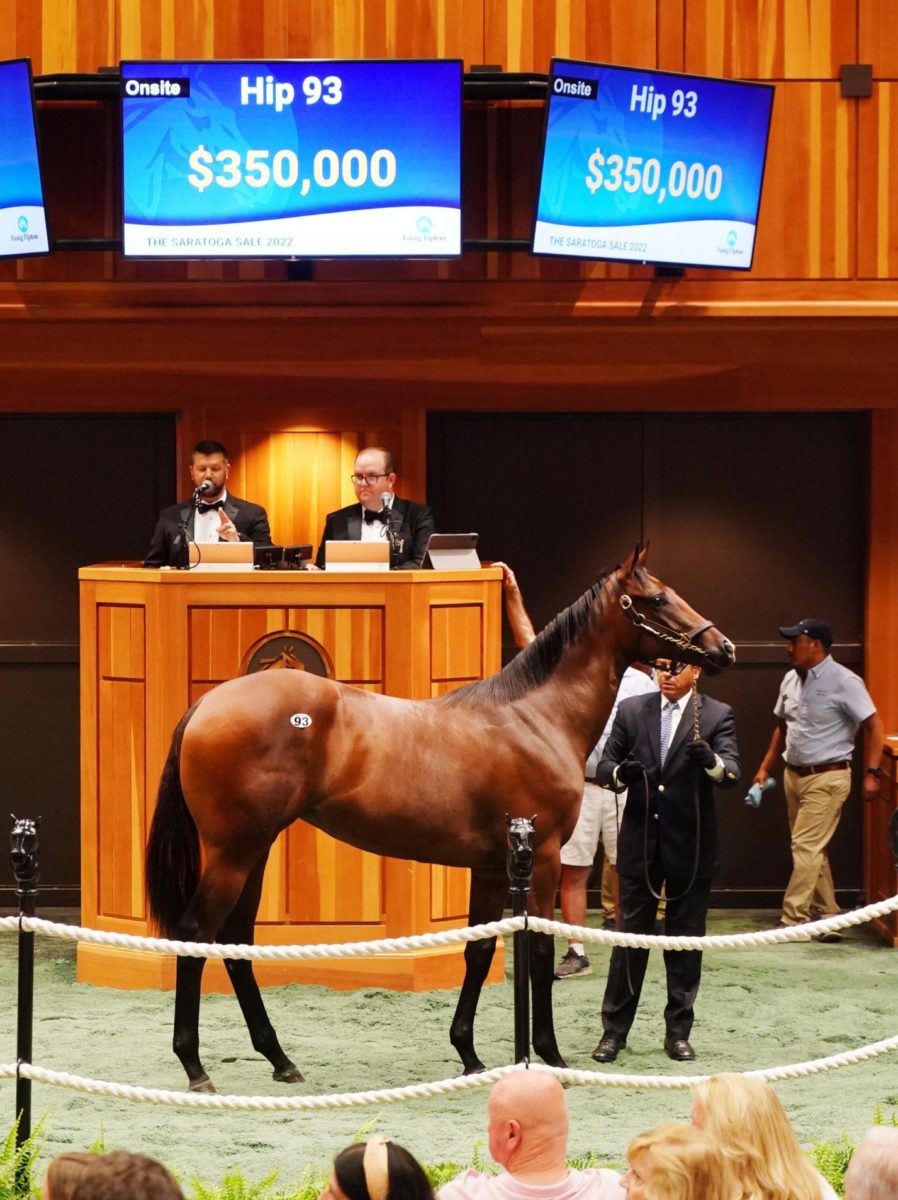 $350,000 | Hip 93, filly o/o Stolen Star | Purchased by White Birch Farm | '22 F-T Saratoga | Z photo