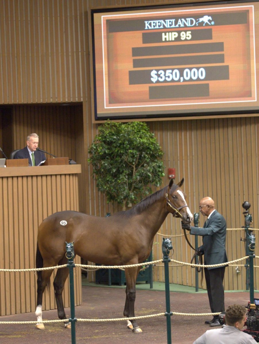 $350,000 | Colt o/o Treasure | Purchased by Starlight Racing & Harrell Ventures | '22 KEESEP | Nicole Finch photo