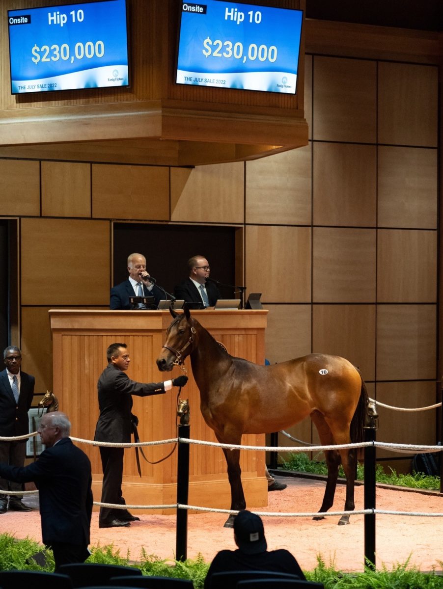 $230,000 | Hip 10, filly o/o Lisa's Booby Trap | Purchased by Cary Bloodstock, Agent | F-TJUL 22 | Nicole Finch photo