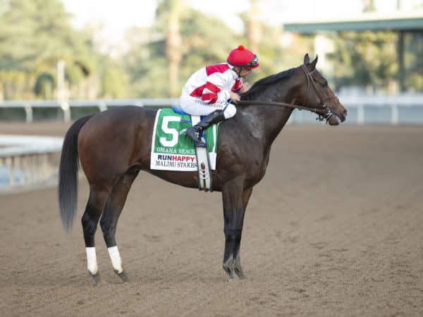 Omaha Beach was one of two 3-year-old colts to win 3 G1s in 2019 | Benoit photo