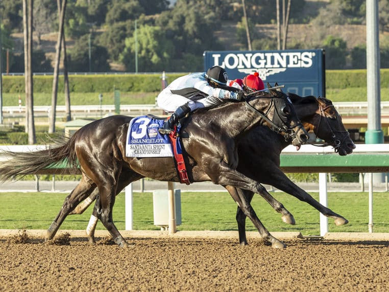 Omaha Beach | 2019 Santa Anita Sprint Championship-G1 | Benoit photo