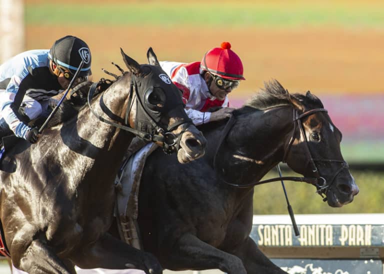 Omaha Beach | 2019 Santa Anita Sprint Championship-G1 | Benoit photo