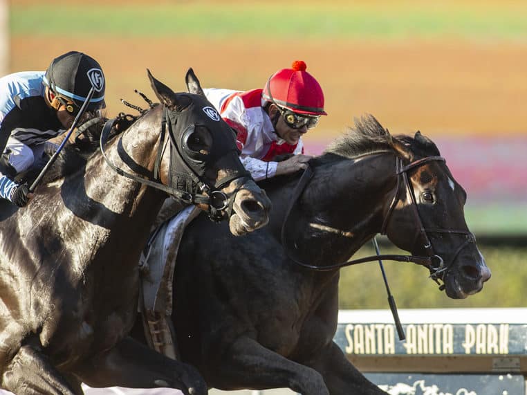 Omaha Beach | 2019 Santa Anita Sprint Championship-G1 | Benoit photo