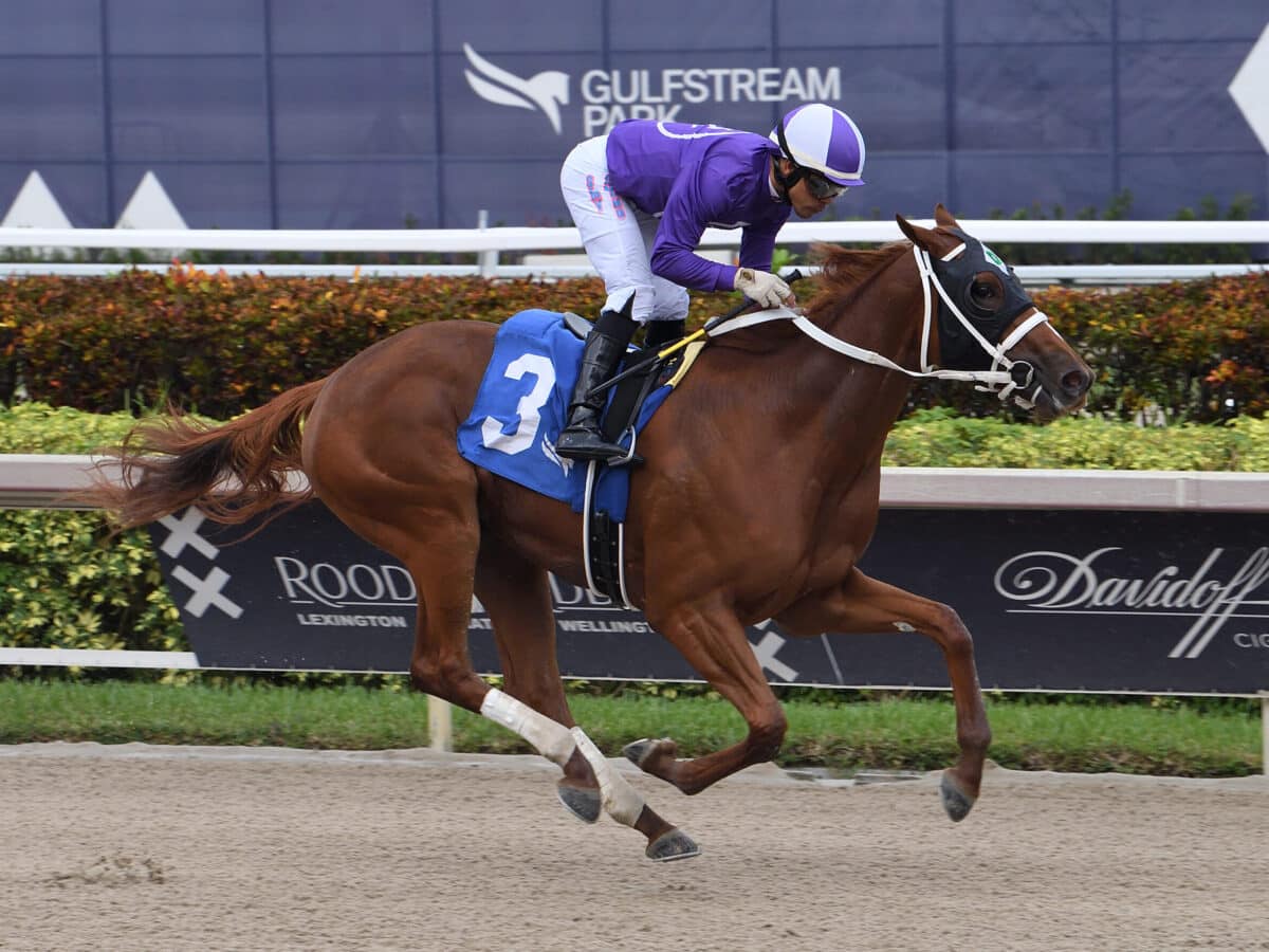 2yo filly Omaha Girl draws off to win the 2023 Hallandale Beach S. at Gulfstream | Coglianese photo