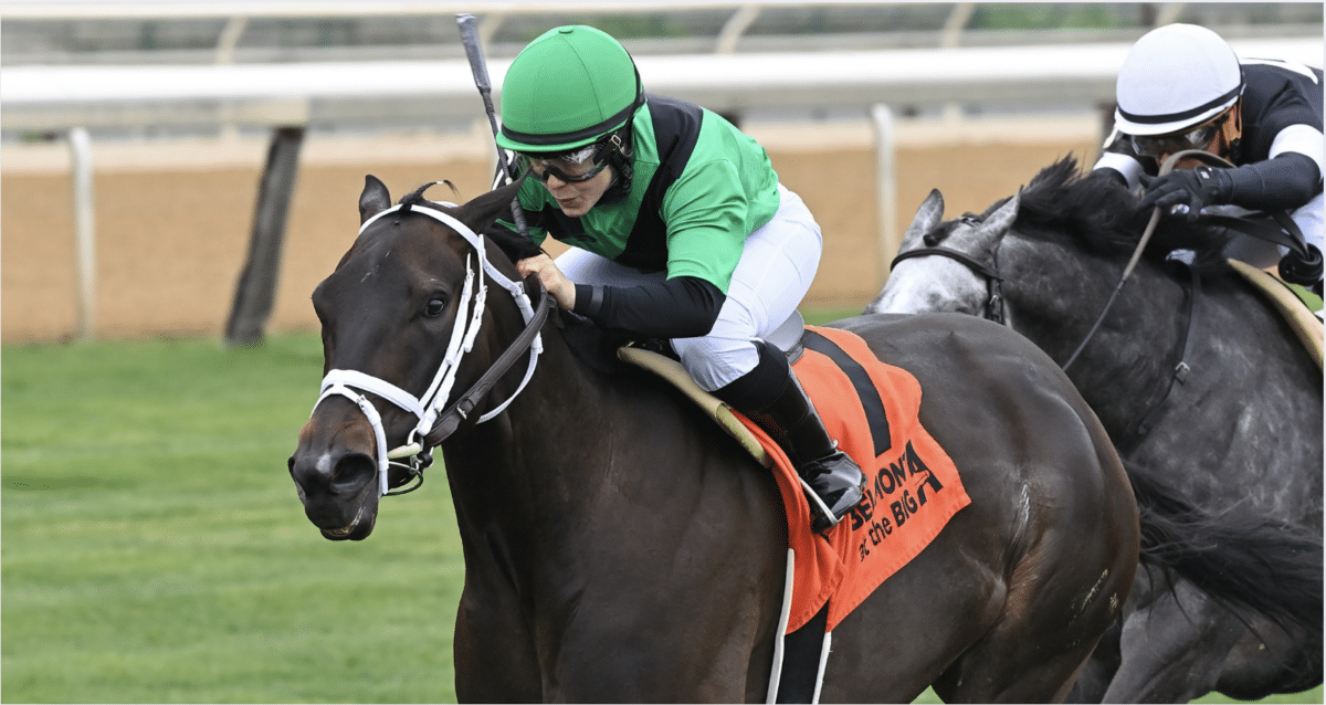 On Command wins the 2025 License Fee S. at Belmont at the Big A | NYRA photo