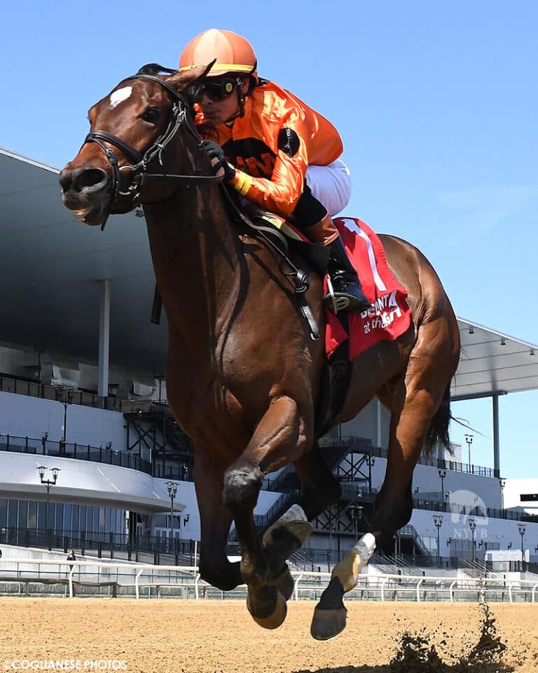 Undefeated 2yo filly & TDN Rising Star With the Angels romps by 9 3/4 lengths in Aqueduct's 2024 Gimma S. | NYRA/Coglianese photo