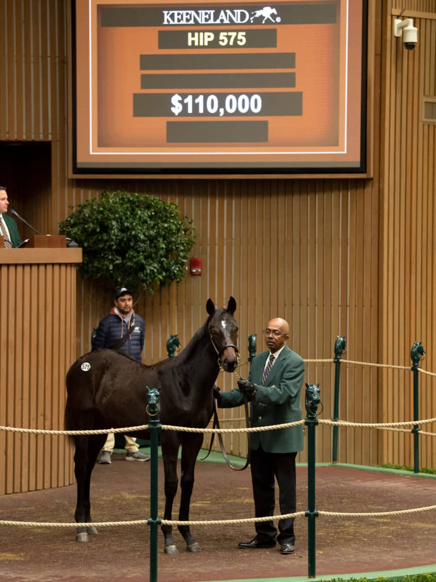 $200,000 | Hip 575 colt o/o North Freeway | Purchased by Gayle Van Leer | KEENOV 21