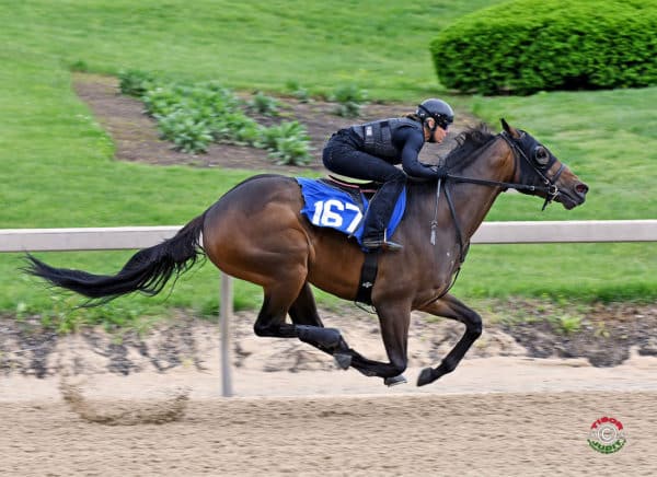 Itsmyluckyday’s hip #167 breezing at the F-T Midlantic Sale Under Tack Show - Tibor & Judit photography