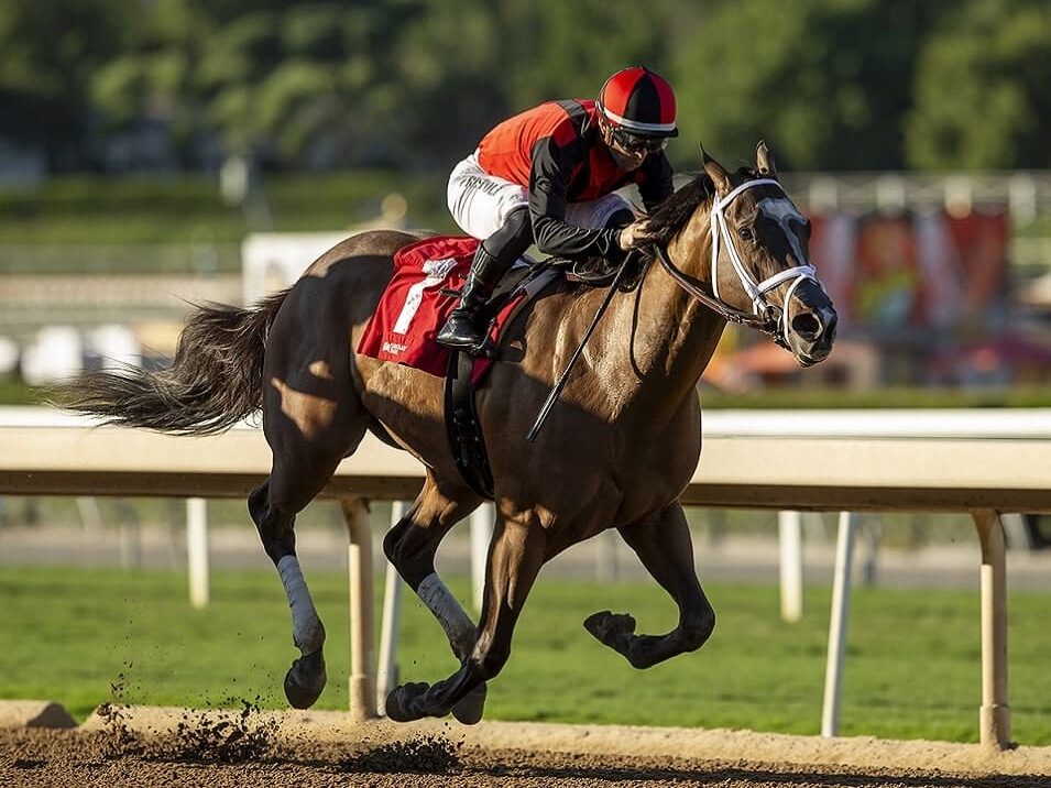 2yo filly Sandy Bottom stays undefeated with a win in the 2023 Anoakia S. at Del Mar | Benoit photo
