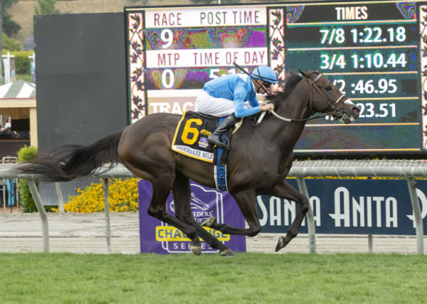 Bolo wins the $500,000 Shoemaker Mile-G1 to become his sire's third G1 winner | Benoit photo