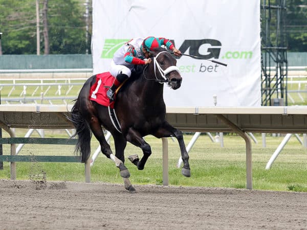 Gin and Platonic, 2yo colt by Medal Count, goes wire to wire on debut in a $48,600 MdSpWt Sunday at Monmouth | Bill Denver/Equi-Photo