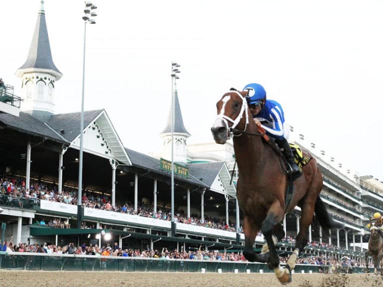 Mr. Money cruises to victory in the 2019 Matt Winn S. (G3) - Coady photo