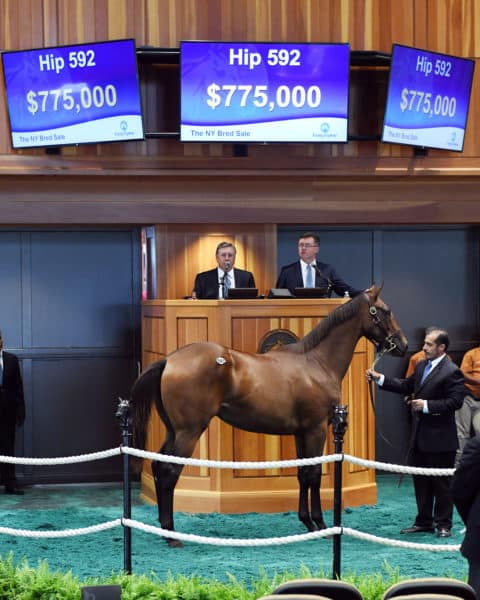 Hip 592 gives her sire Malibu Moon another record in Saratoga | Photo by Z