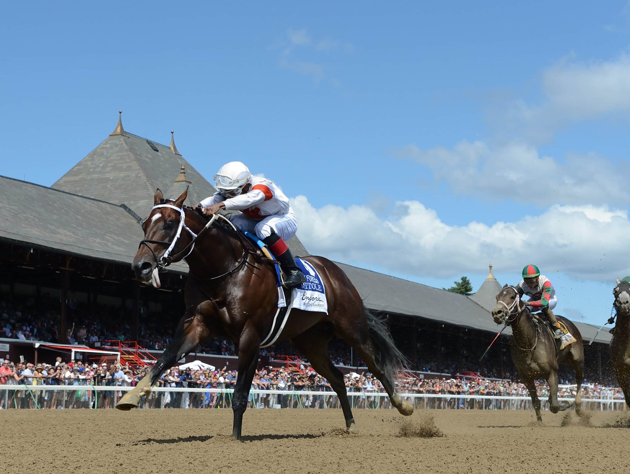 Mitole established a new stakes record in the Forego - his third G1 triumph in 2019 | NYRA photo