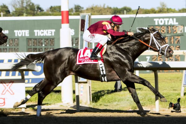 Coal Front | 2017 Gallant Bob S. | Part | Photo by Sue Kawczynski/Eclipse Sportswire/Getty Images