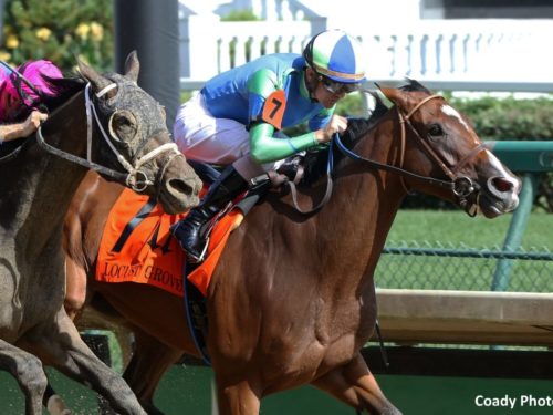 Go Google Yourself becomes Into Mischief's newest Graded winner | Coady photo