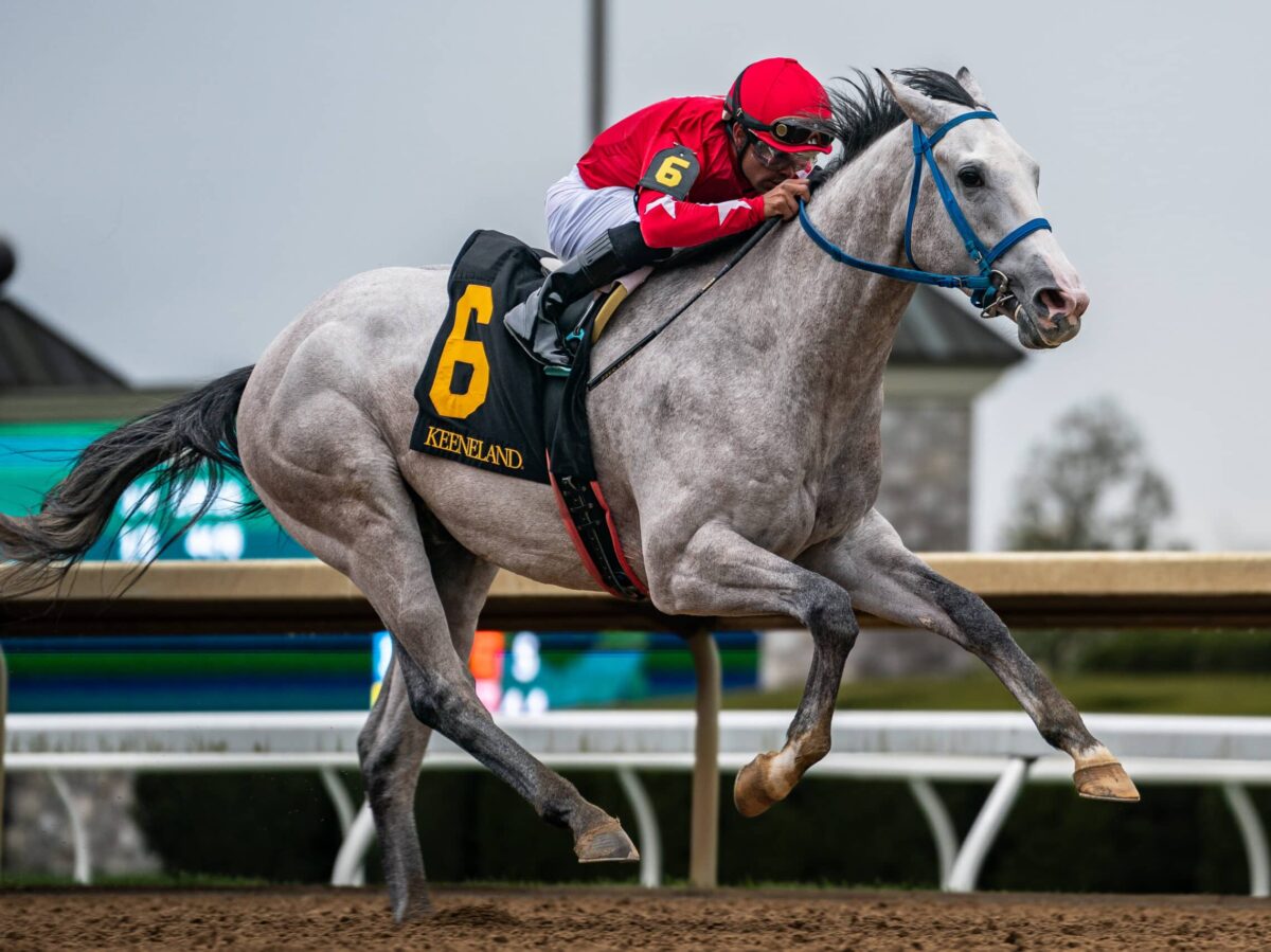 Leading 3yo sprinter Glengarry decisively wins Keeneland's 2024 Lafayette S. by 3 1/2 lengths and earns a 94 Beyer | Nicole Finch photo