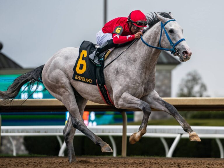 Leading 3yo sprinter Glengarry decisively wins Keeneland's 2024 Lafayette S. by 3 1/2 lengths and earns a 94 Beyer | Nicole Finch photo