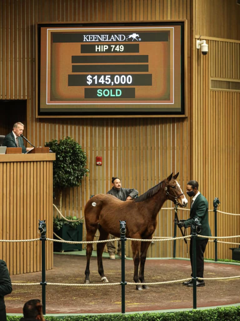 $145,000 | Hip 749 filly o/o Sheza Sweet Lemon | Purchased by Chuck Zacney and Cash Is King / Commonwealth New Era Racing | Bred by Sovereign Farm | Photo by Z | KEE-JAN 2022