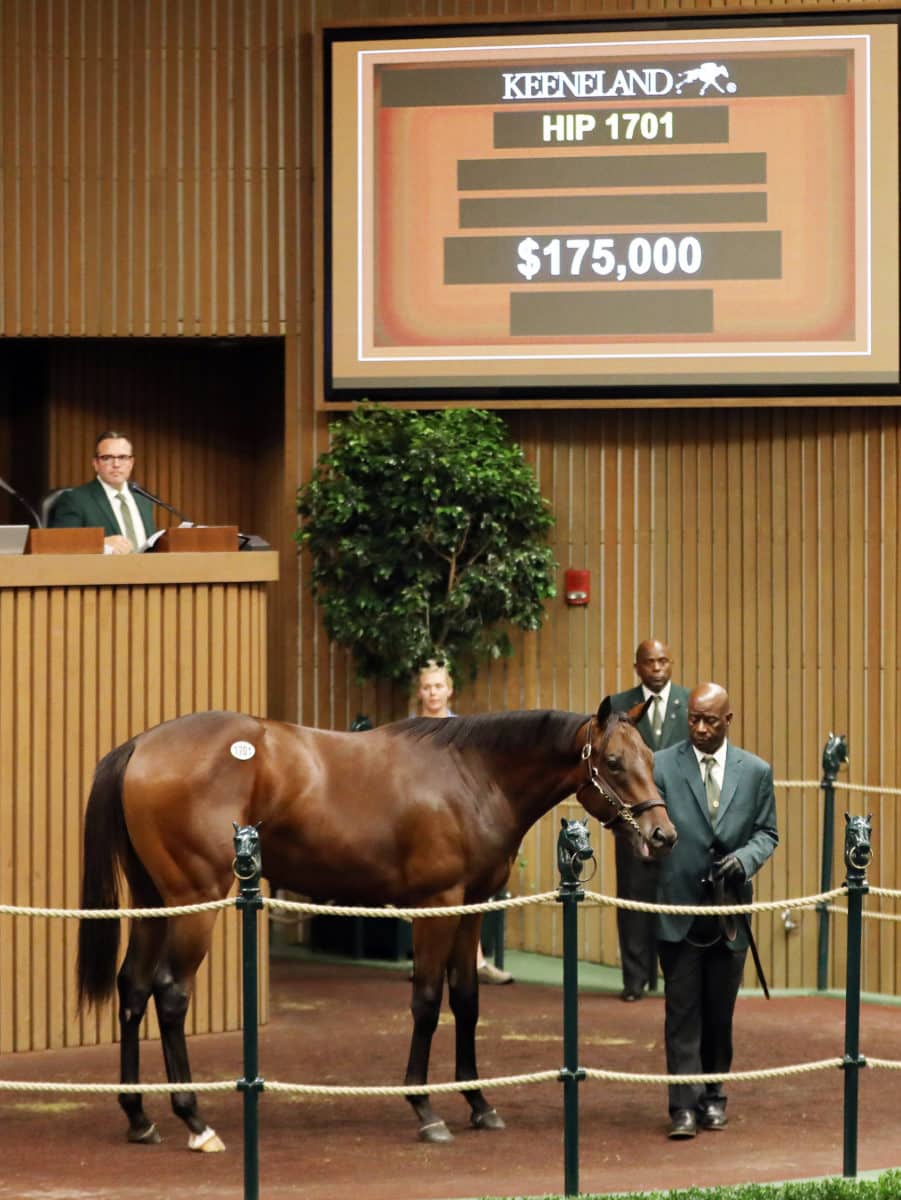 $175,000 | Colt o/o Andapinkcarnation | Purchased by Corinne & Bill Heiligbrodt | '22 KEESEP | Z photo