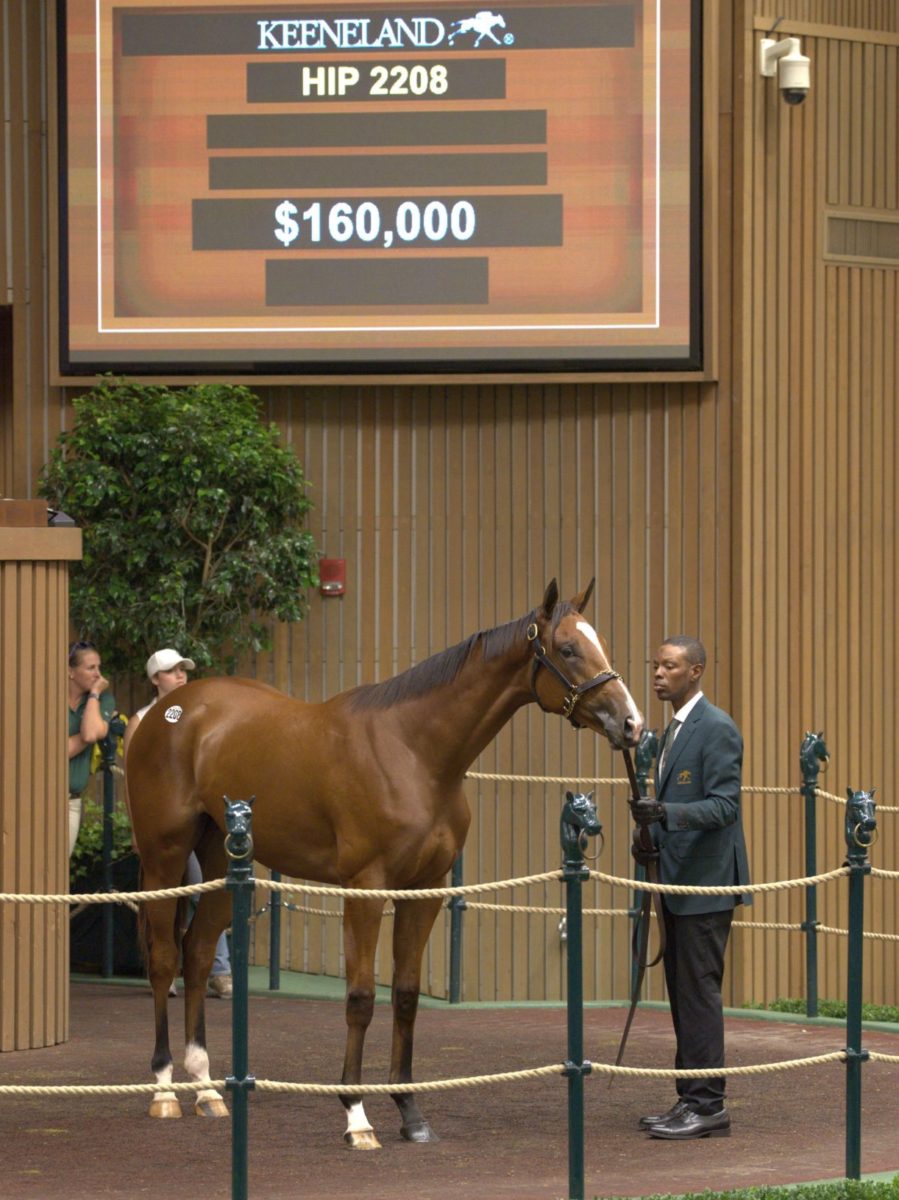 $160,000 | Filly o/o Enchanting Essence | Purchased by String Music Thoroughbred Investments | '22 KEESEP | Nicole Finch photo