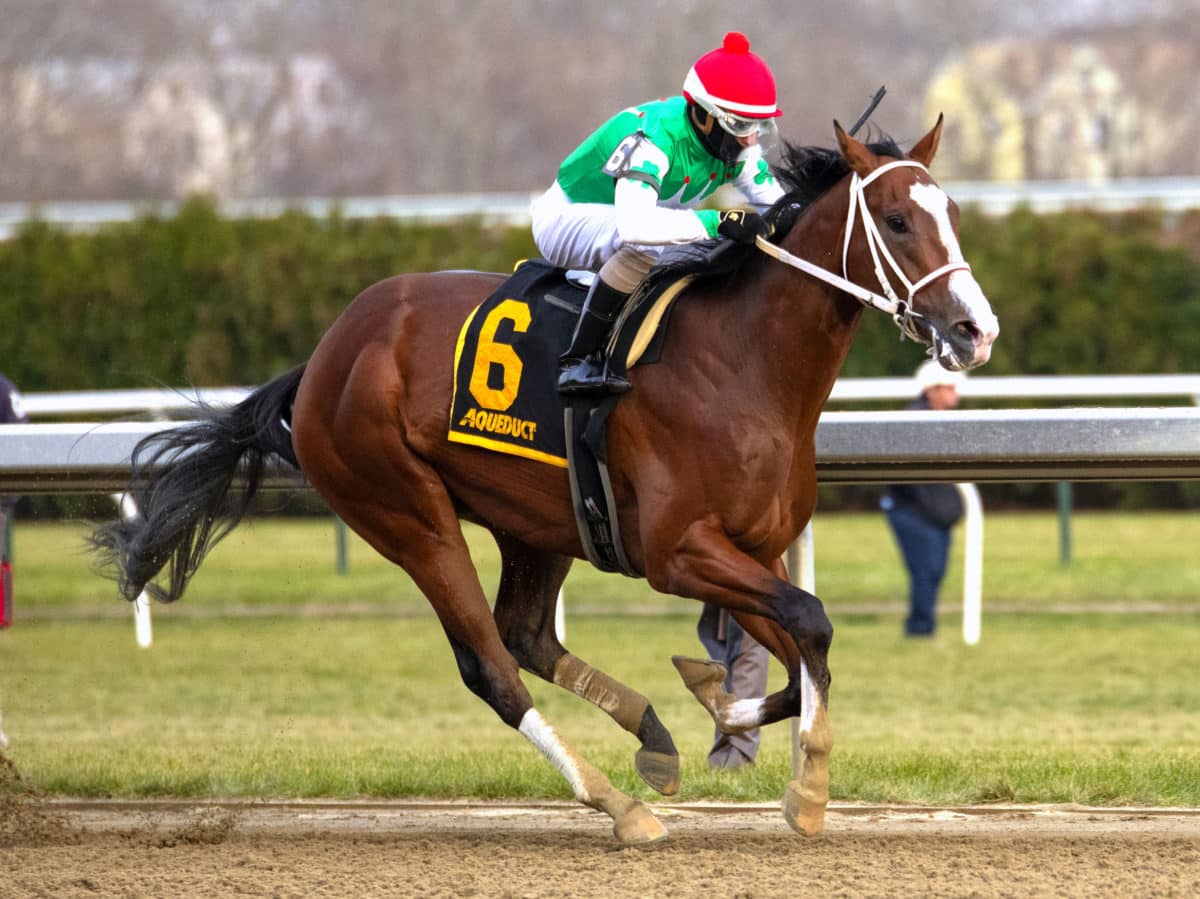 Maximus Mischief | 2018 G2 Remsen | Eclipse Sportswire photo