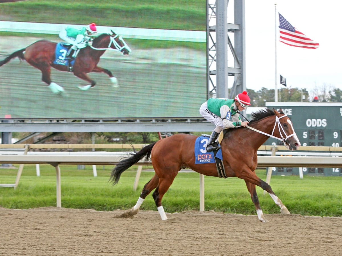 Maximus Mischief | Parx Allowance | Equi-Photo