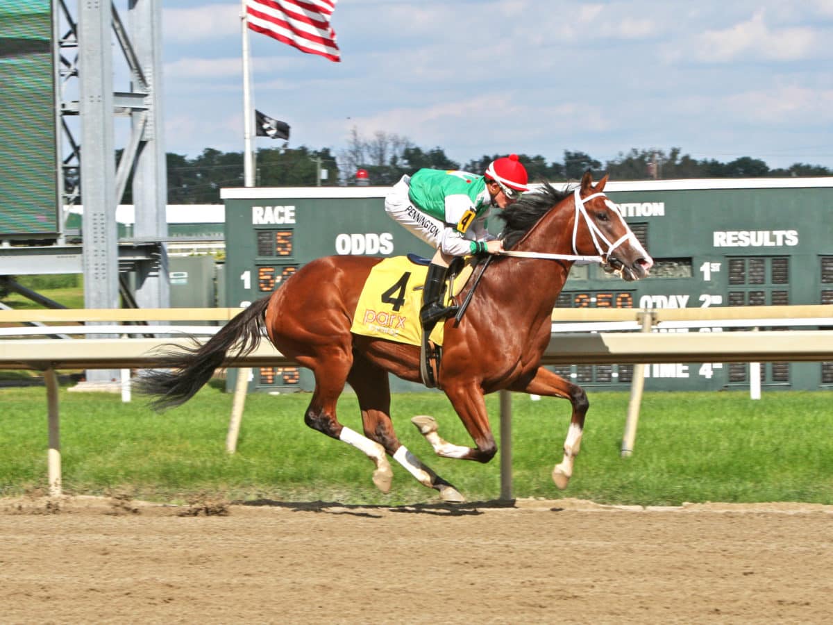 Maximus Mischief | Parx MdSpWt | Equi-Photo